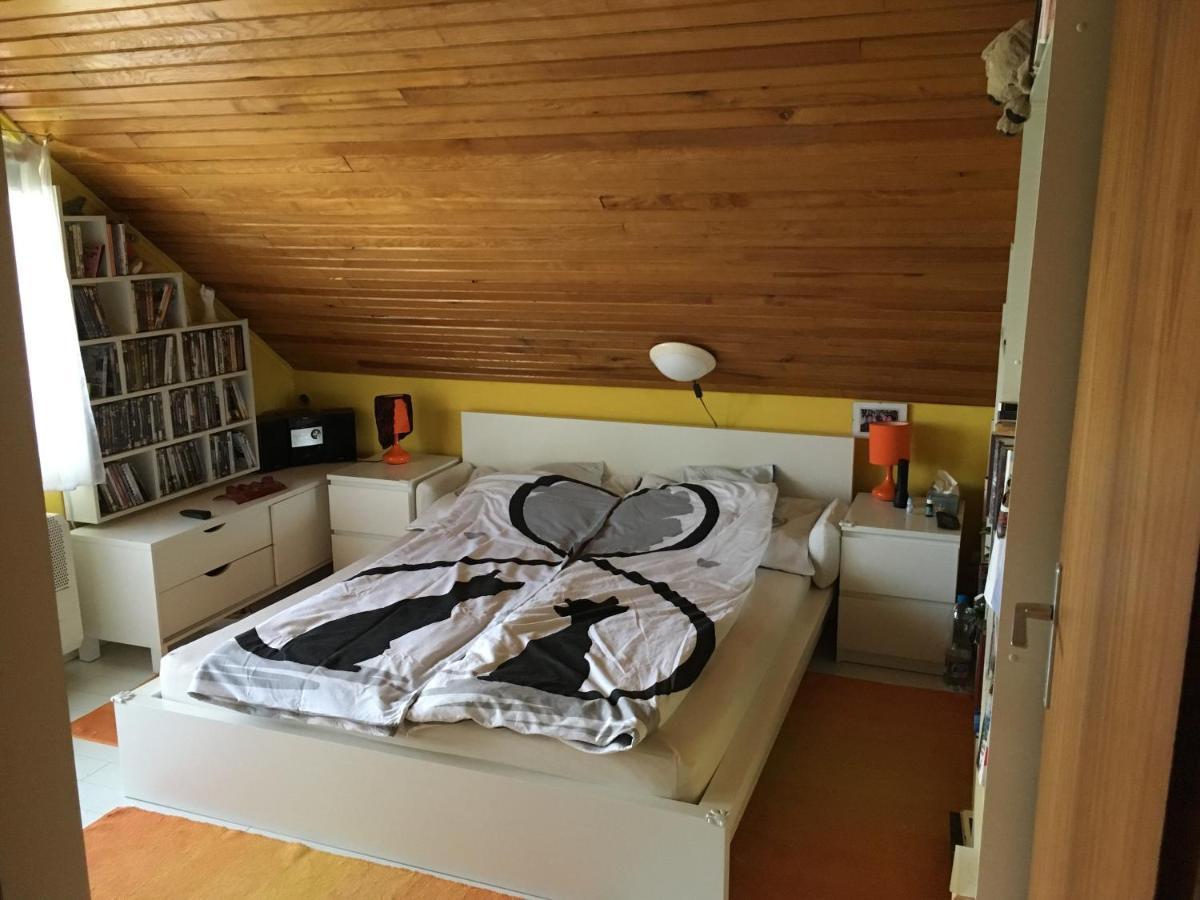Aktiv Pihenes Apartman Révfülöp المظهر الخارجي الصورة